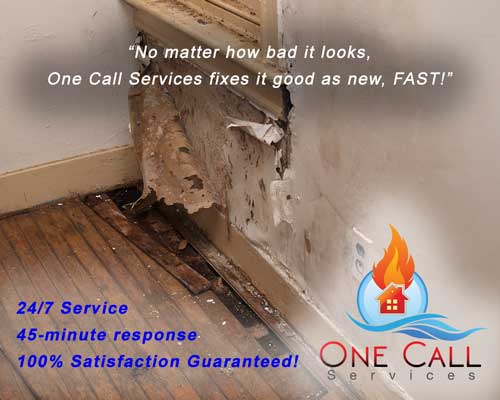 Water Damage One-Call-Services